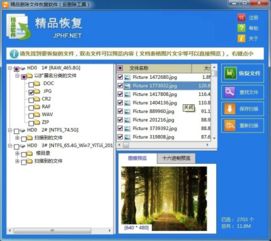 2019年精品刪除文件恢復軟件電腦版官方下載指南與深度解析