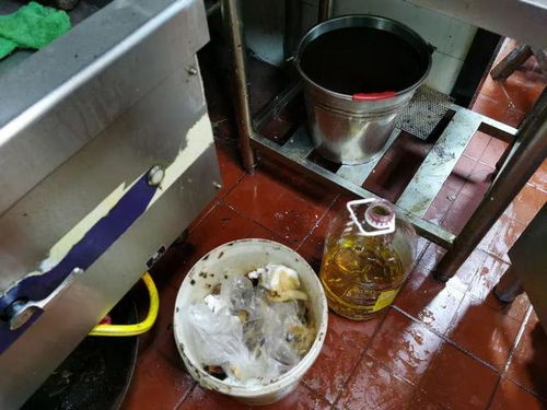 餐飲復工調查 積壓庫存引擔憂，服務安全需關注